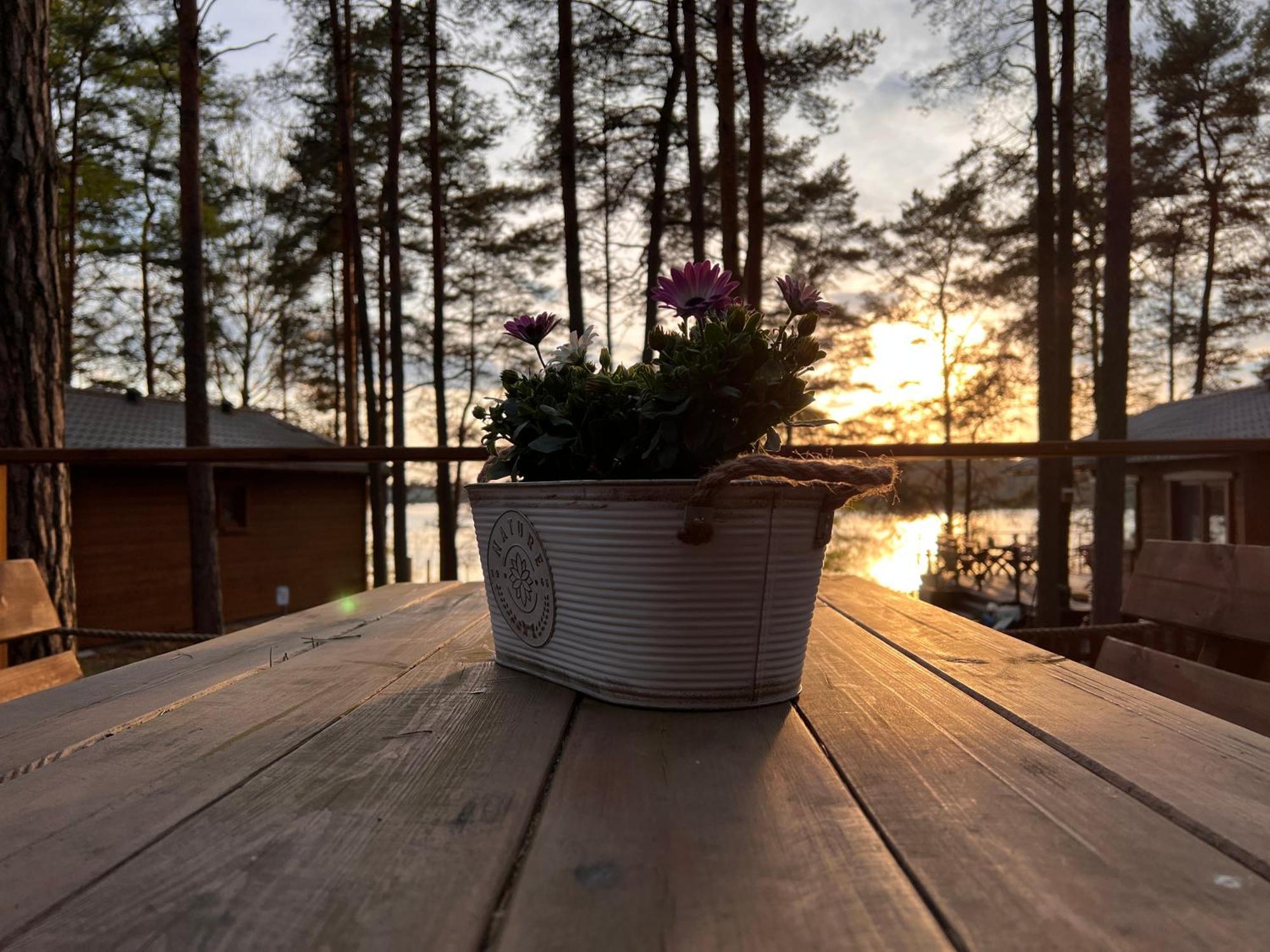 Domki Borsk - Komfortowe Domki Nad Jeziorem Wdzydze Z Przepieknym Widokiem Bagian luar foto